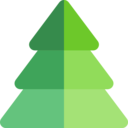 decoration,nature,botanical,park,garden,yard,forest,pine,christmas tree